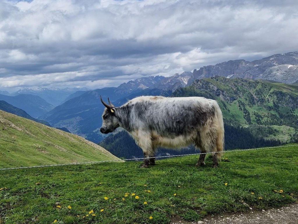 The Ultimate Guide to Minimalist Living: Declutter Your Home and Life, Find Joy in&nbsp;Simplicity