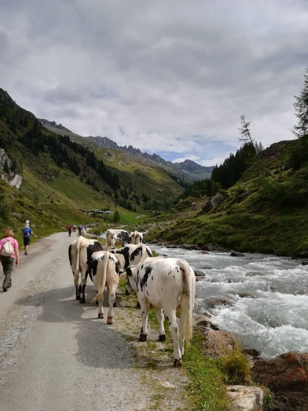 The Best Tourist Guides Are Your Taste&nbsp;Buds!