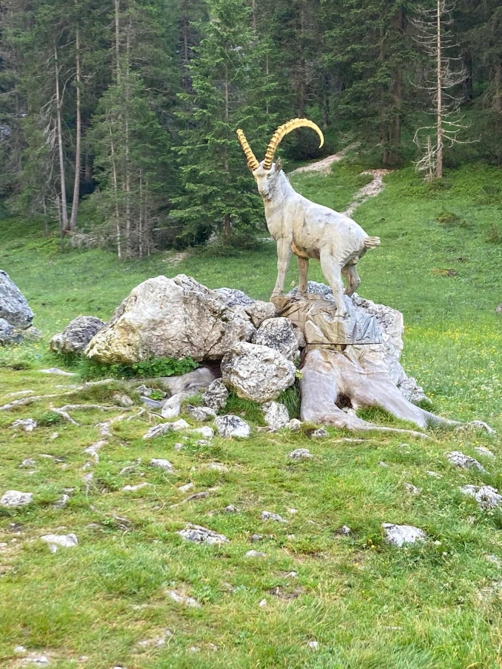 NEVER STOP BREATHING