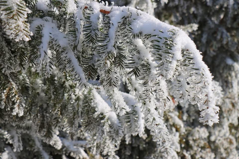 Paving Your Own&nbsp;Path