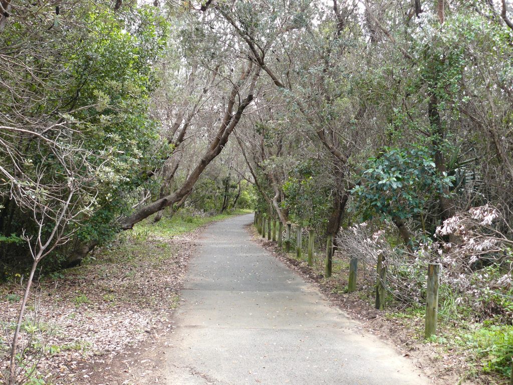 The Red Dirt&nbsp;Audit